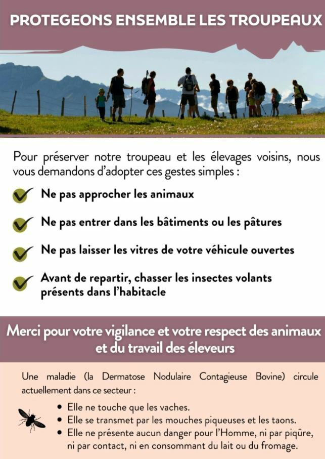 Protégeons les troupeaux !